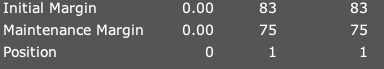 Initial Margin, Maintenance Margin and Position rows from a paper order preview
