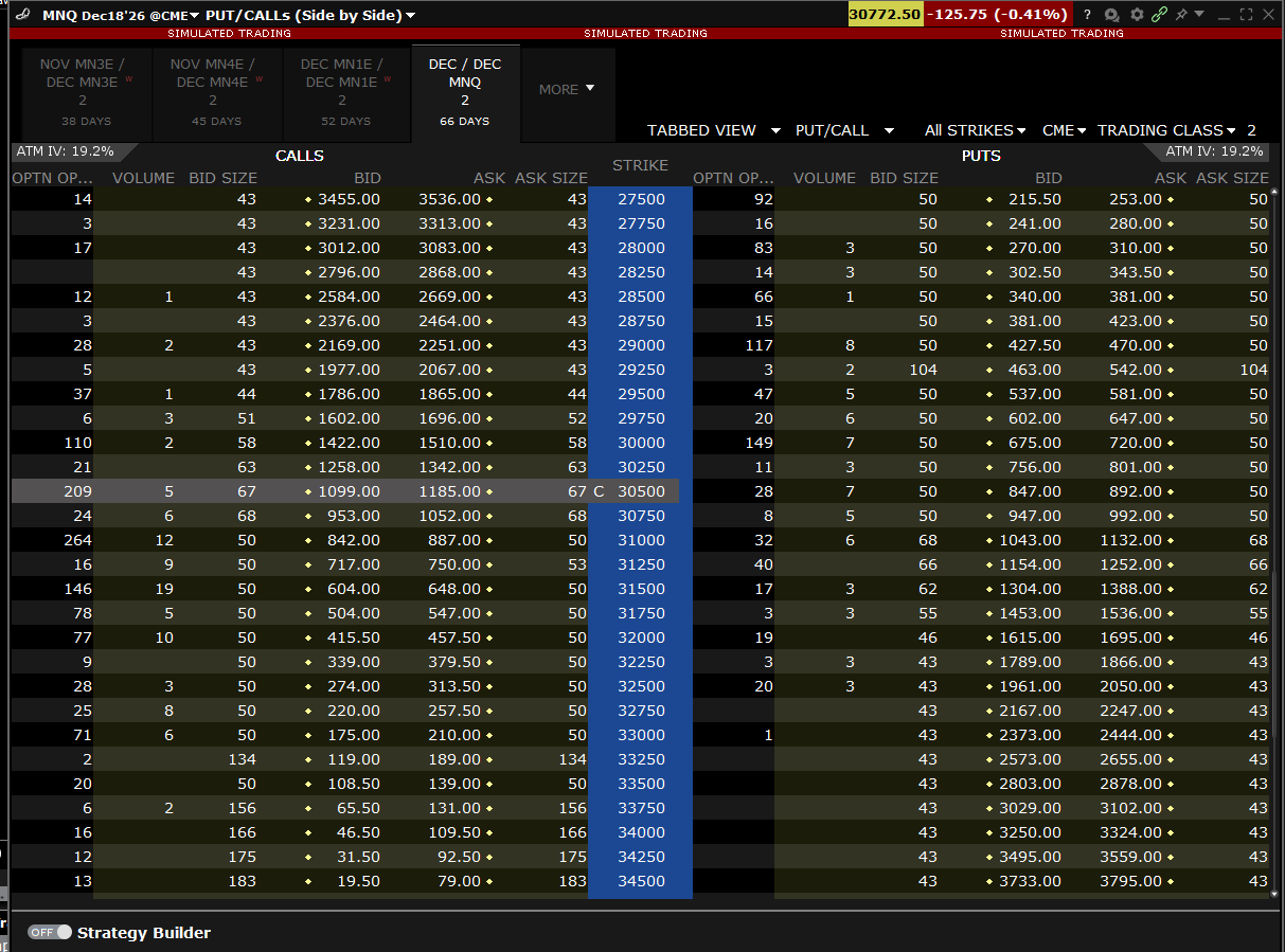 The option chain lists calls and puts by strike for each expiry; pick the exact row you intend to trade.